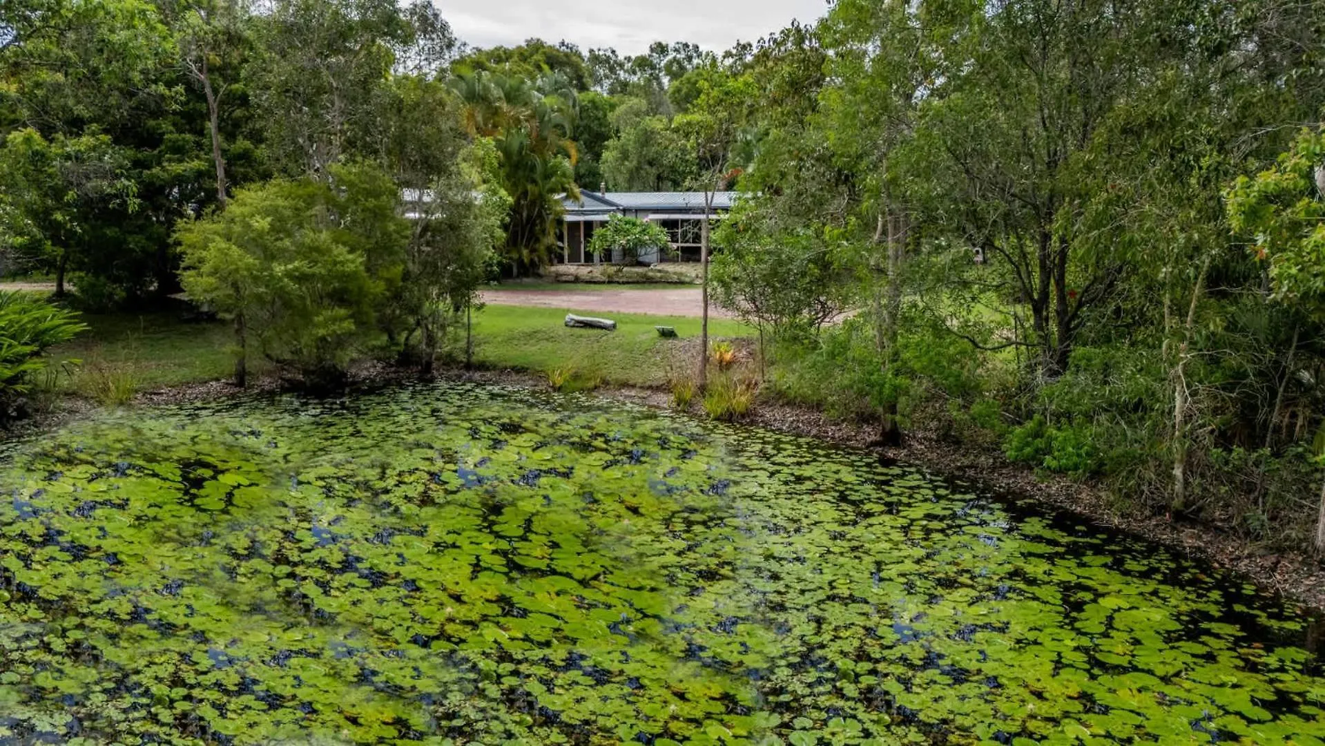 Green Dragon - Large Pet-Friendly Home With Pool & Beautiful Bushland In Agnes Water Australia