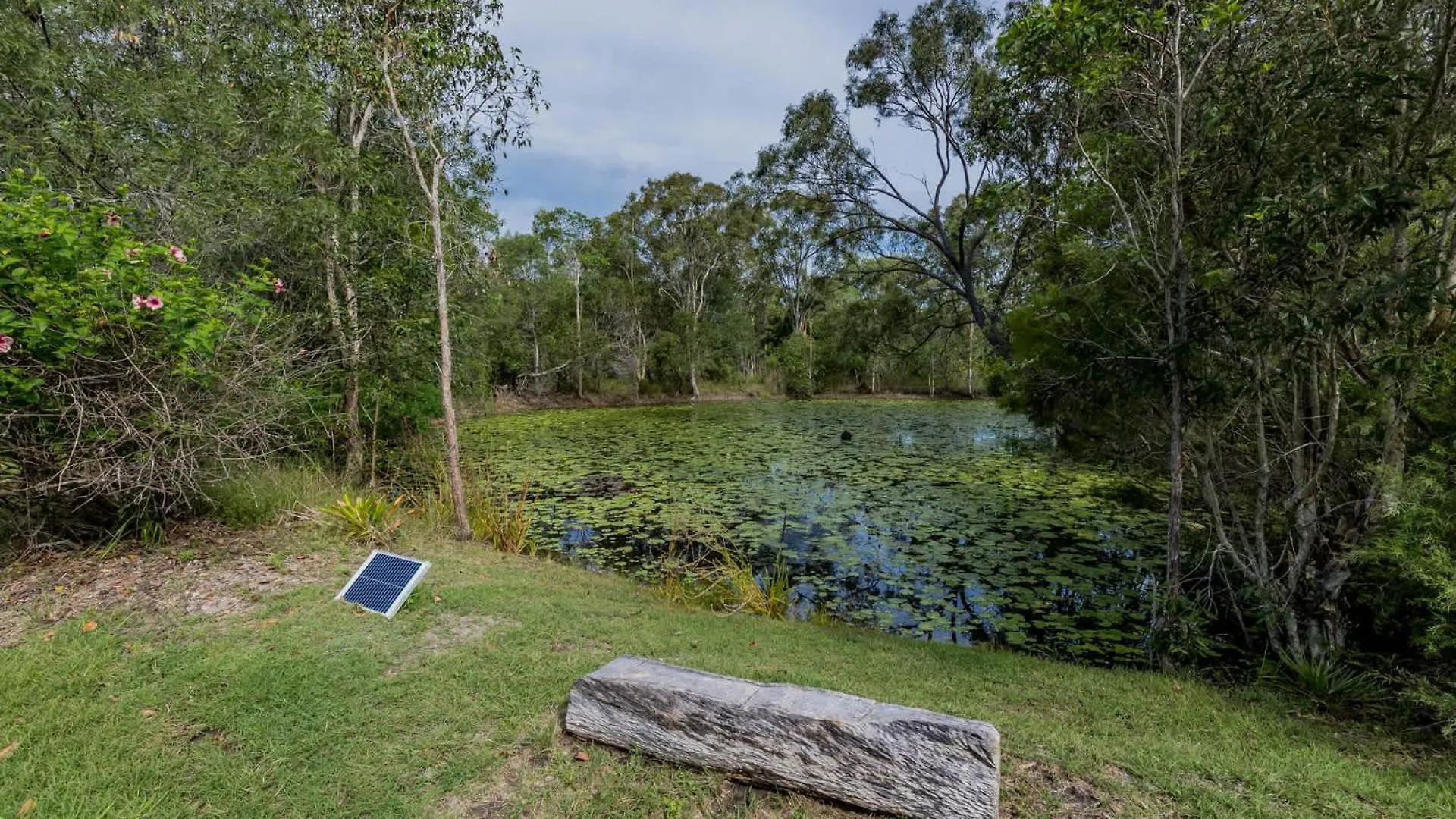 Holiday home Green Dragon - Large Pet-Friendly Home With Pool & Beautiful Bushland In Agnes Water
